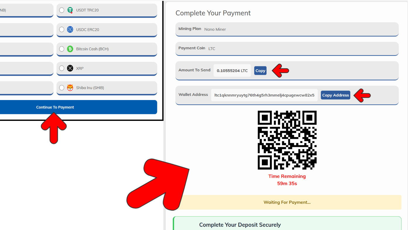 Make Payment